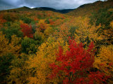 An Autumn View