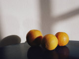Still Life of Three Oranges on a Table