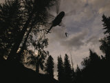 As Many as Twenty Firefighters Can Rappel to a Fire from a Turbo-Powered Helicopter