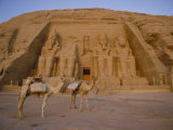 A View of the Ramses Ii Temple