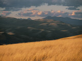 Prairie Grass  Mountains and a Dramatic Sky Create a Scenic View