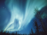 A Brilliant Display of Aurorae