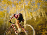 A Mountain Biker in Autumn