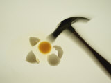 A Blurred Hammer Cracks Open an Egg