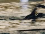 A Swimmer Does the Crawl
