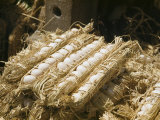 Eggs Packed in Straw for Travel and Inspection