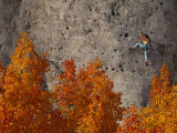 Climber on a Cliff Wall