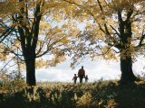 A Father Holds the Hands of His Two Sons While on a Walk