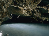 Bats Flying Above a Pool Illuminated by a Nearby Lantern