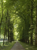 On This Island Mad King Ludwig Built a Copy of Versailles Palace  Herreninsel  Chiemsee  Germany