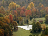 Fall Color Graces a Farm in the Shenandoah Valley