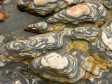 Detail of Eroded Rocks Swirled with Colors and Patterns