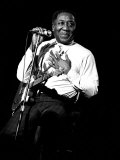 Muddy Waters