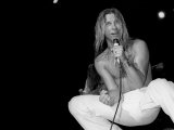 Black Oak Arkansas