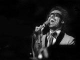 Stevie Wonder