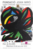 Fundacio Joan Miro 1975