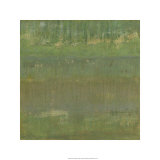 Marsh Light II