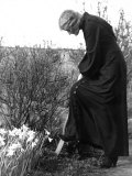Madame Maud Gonne MacBride Working in Her Garden