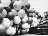 Balloons Lying on Ground Prior to Release