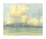 Solace I
