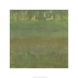 Marsh Light I