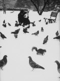 Man Feeding Squirrels and Birds in the Snowy Park