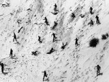 Boy Scouts Racing Down a Dune at the Indiana Dunes
