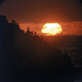Sea Birds Crowding Seal Rock on the Monterey Peninsula at Sunset