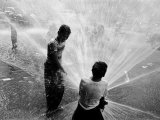 Children Playing in the Spray of an Open Fire Hydrant to Escape the Ongoing Heat Wave