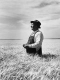 Farmer Posing in His Wheat Field