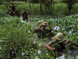 American Soldiers Wade Through Marshy Area During the Vietnam War