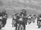 Hell's Angels Motorcycle Gang Riding in a Pack on the Road