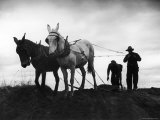 Farmers Preparing the Ground For Spring Planting