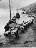2 Rows of Chinese Trackers Plodding Along Bank of Yangtze River Towing a Junk Slowly Up River