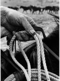 Close Up on Weather Beaten Hand of Whistle Mills Ranch Foreman Holding Rope