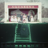 Couple Getting Married Underwater at Aquarena