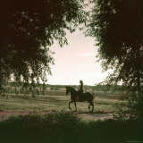 Woman Riding a Morgan Horse in Madison Wisconsin