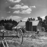 Patricia Colleen Altree Working in the Vegetable Garden