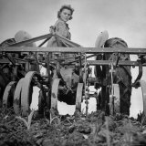 Patricia Colleen Altree Harrowing a Corn Field