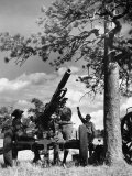 Army Maneuvers at Fort Warren