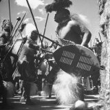 Zulu Warrior Delivering Messages Between the Chief and His Councilors