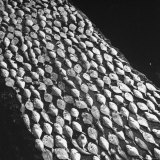 View of Dried Fish on Parts of the Manila City Wall