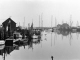 Dutcher Dock  Menemsha  Martha's Vineyard