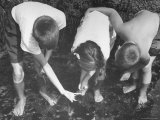 Children Hunting For Shells and Small Animals During Ebb Tide at the Beach