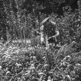 Mrs David Smith Working in the Garden