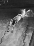 Breast Stroke Champion Joe Verdeur Diving Into Pool