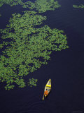 Aerial View of Man Canoeing in Lily Padded Lake in the Upper Peninsula