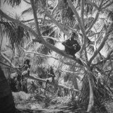Bikini  Marshall Islands