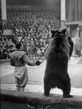 Dancing Bear at the Circus