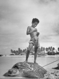 Boy Stands on Huge Tortoise Whose Shell Will Bring $175 a Pound